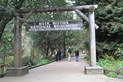 068 ミュア・ウッズ国定公園の保全 (Preservation of Muir Woods National Monument)