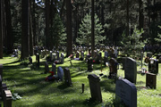152 森の墓地（スコーグシュルコゴーデン）