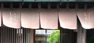 sawara1-photo3.JPG