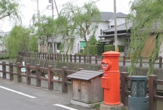 sawara2-photo1.JPG