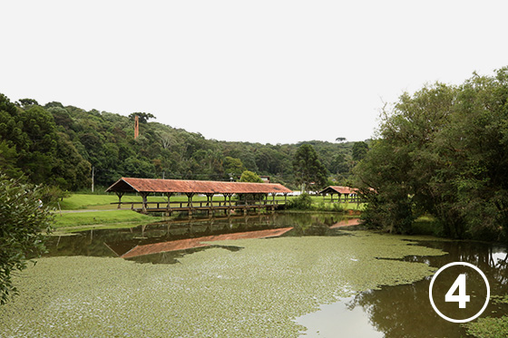 290 チングイ公園（Parque Tingui）