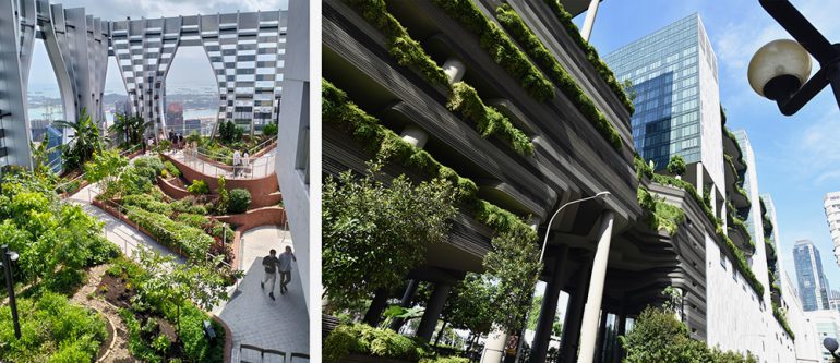 左：キャピタスプリングス地上52階につくられた菜園（筆者撮影）右：パークロイヤルホテルの空中庭園（藤井耕太撮影）