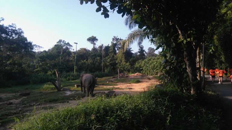 現在のシンガポール動物園（筆者撮影）